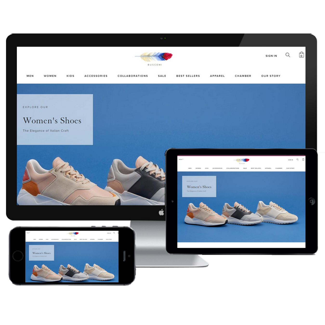 Shopify Buscemi Developed in Hamirpur