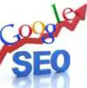 seo-services-provided-by-webcodeft 2024