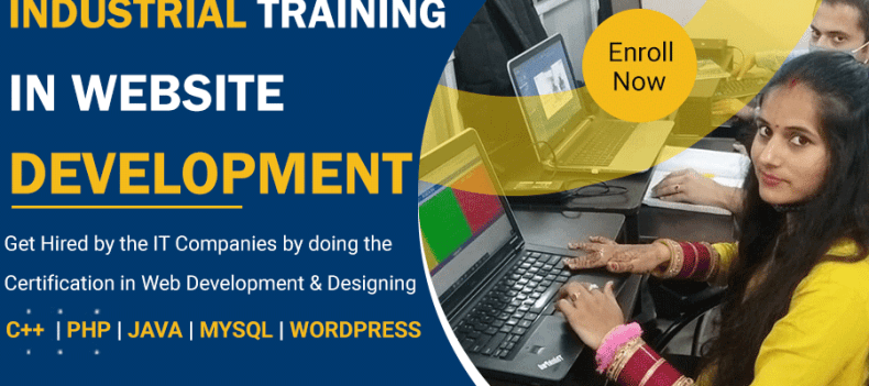 Industrial training in website development