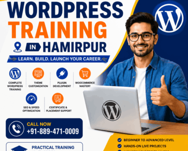 Advanced WordPress Training
